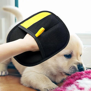 Pet Supplies